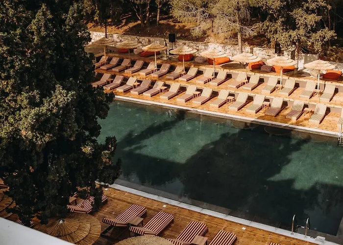 Cook's Club Rhodes (adults Only) 4* Ialysos (Rhodes)